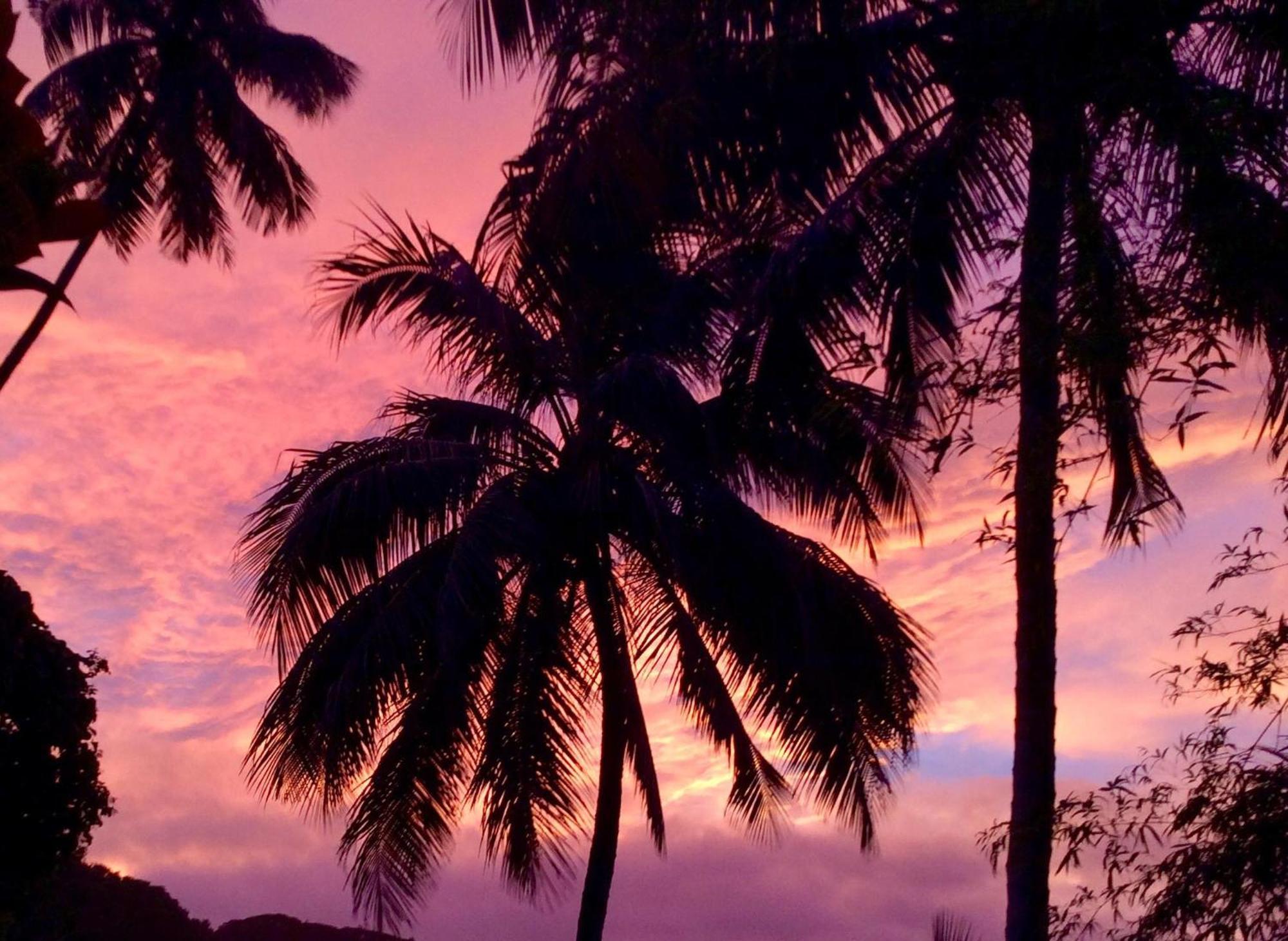 L'Auberge De Jeunesse Tahiti Iti - Beach Hostel Afaahiti Exterior foto